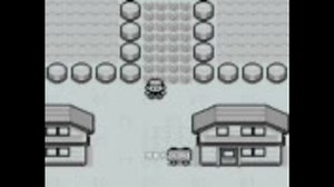 【ポケモン】100レベルに。　無論解説付き