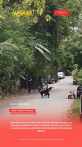 Kejadian di Taman Megah, Cheras. Anjing tersebut dipercayai ada tuannya kerana terdapat rantai dileher. | Apakes