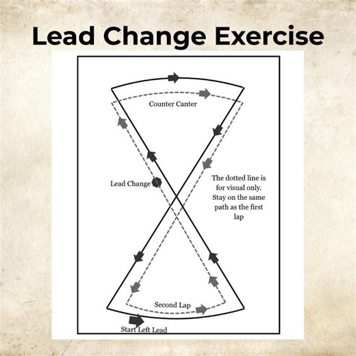 A Roadmap to Reining: A Non-pro Rider's Guide to Reining Training #HorseTrainingTips