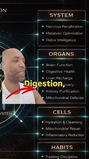 This Is Where Real Body Change Begins | Nervous System, Liver, and Cellular Reset