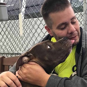 73M views · 439K reactions | Guy drives from California to New York to save a pit bull he fell in love with  | Pittie Nation | Facebook