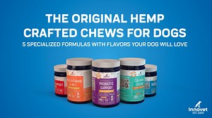 Watch Innovet Pet's Advanced Chew Line For Dogs on Amazon Live