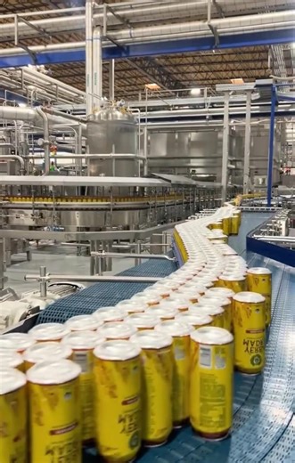 Thousands of Cans Per Hour – Inside a Modern Beverage Factory