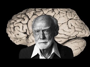 SPERRY'S SPLIT BRAIN STUDY A LEVEL OCR PSYCHOLOGY