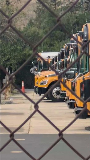 Bluebird tc2000 A3 t3 and Thomas C2