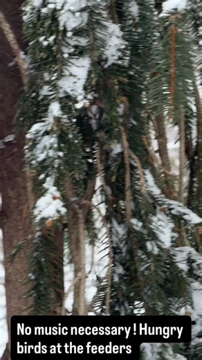 Martha Stewart on Instagram