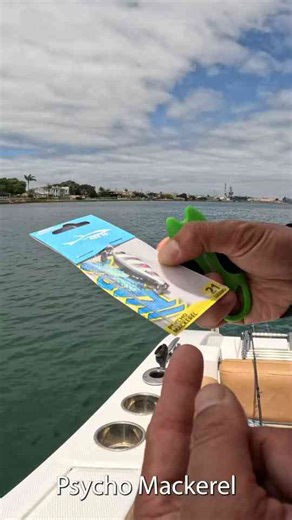 San Diego Bay Fishing with Custom Lures and Fluorocarbon