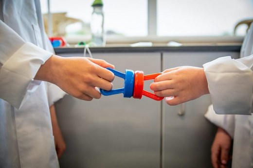 Working scientifically: identifying and classifying - The Ogden Trust