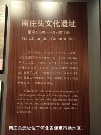 徐水新石器时代早期南庄头遗址 陶器的使用 猪狗等动物的驯化。骨器的加工，石磨棒 石磨盘的使用 带有凿孔的木料。南庄头遗址是徐水最久远的文化遗址。#历史文化点 #周边历史文化 #历史打卡
