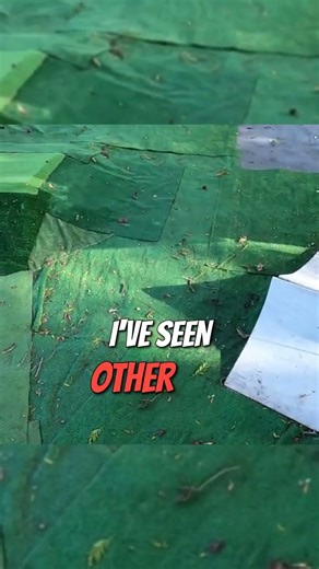 Unbreakable Fun: The Ultimate RC Rig! #shorts