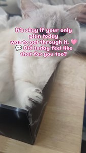It’s okay if your only plan today was to get through it. 🩷 💬 Did today feel like that for you too? | Cuddling Crew