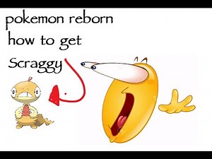 Pokémon Reborn - How to get Scraggy