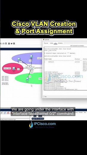 VLAN Creation & Port Assignment!!✨✨