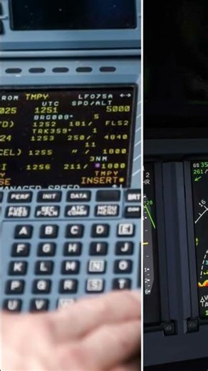 Piloto Automatico, cómo funciona? Que es, AP / FD /AT / FMS?