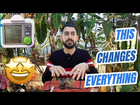 🪴 I Tried the NEW RainPoint Automatic Watering System... Game Changer! 🤯