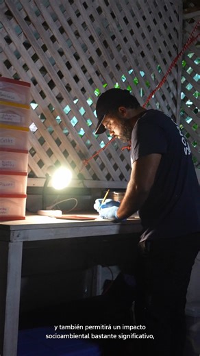 Ante la amenaza de la caza, el saqueo y la destrucción de los hábitats de las tortugas marinas en Costa Rica, Turtle Rescue Cahuita, con su programa ganador de #DonativosAmbientalesFord2025, está marcando la diferencia. | Ford Centroamérica
