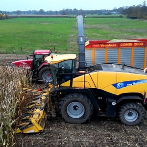 New holland in maize 🌽 harvesting short clips #maize #harvesting #bigmachines | Big Machines