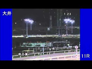 2011/06/29 帝王賞 スマートファルコン