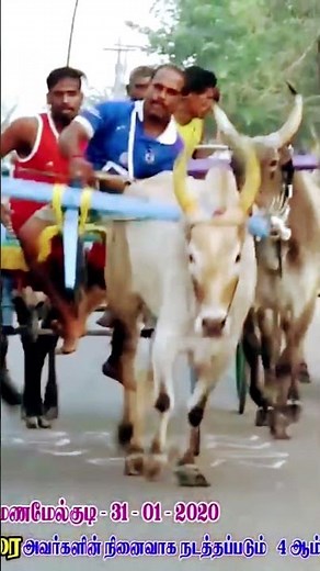 ksk rekla race velankulam rowdy