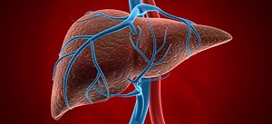 Your liver is a powerhouse, performing over 500 daily tasks to keep your body running smoothly. With 4.5 million adults in the US diagnosed with liver disease each year, it’s clear that not everyone’s liver is functioning at its best. Take charge of your liver health with Dr. Kahana’s revolutionary health formula, designed to protect you from everyday toxins and support your liver’s natural defenses. Learn how to give your liver the care it deserves and enjoy a happier, healthier life. | 1MD