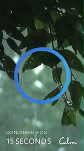 6M views · 207 reactions | White noise, sleep stories and mindfulness sessions that will make you fall asleep faster and rest better | Calm | Facebook