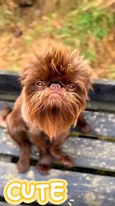 Best Spoof Comedy Ever