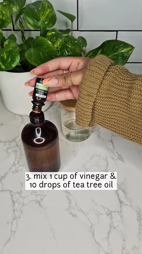 Natural ways to clean part 3🫧 follow for more. 💫3 natural ways to clean part 3 Method: 1. Put slices of lemon & water into a baking dish. Heat it up in the oven for 15 minutes.The steam will remove built up grease and allow you to clean your oven easier. 2. Use vinegar make your stove stop sparkling clean. 3. Mix 1 cup of vinegar &10 drops of tea tree oil. Spray & leave for 15 mins, wipe away with a cloth to clean mould. 💫If you have any questions, leave a comment, and I'll get back to you AS