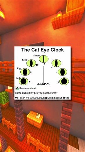 How to Tell The Time With a Cat! 😂😂