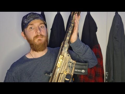 Panzer Arms Mag 12 ( AR style shotgun )