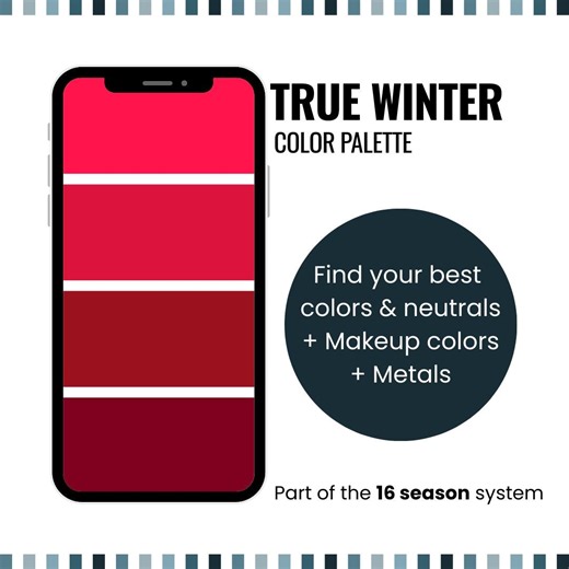 True Winter Color Palette – 16 Season System, Hex Codes (digital Download) - Etsy