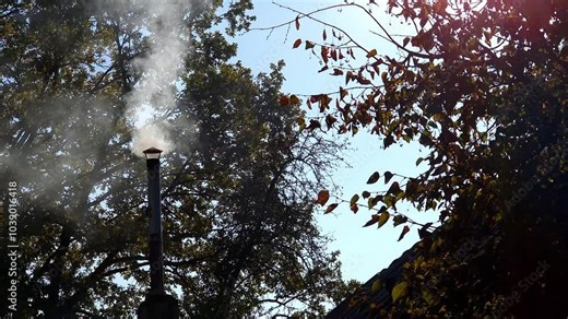 Smoke rising from a chimney surrounded by autumn foliage on a clear afternoon