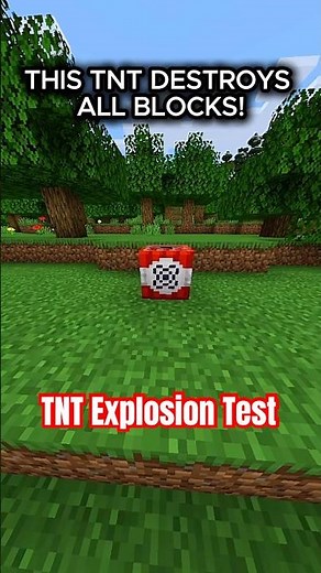 I DESTROYED EVERYTHING WITH ONE TNT! #minecraftshorts