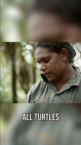 Cooking Wild Turtle the Indigenous Australian Way | Outback Rangers