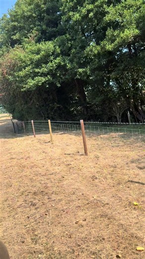 Expert Insights on Stockfening for Fencing Contractors