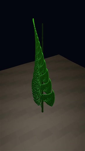 3D Fern Growing FAST - Barnsley IFS Fractal #Shorts #generativeart