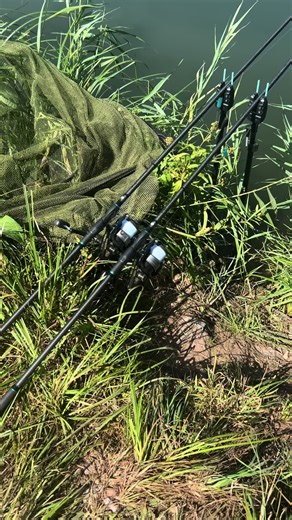 big mirror carp🤩🍀#fishing #carp #fox #korda #photography