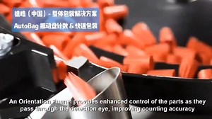 上海德皓电子有限公司 - 整体包装解决方案之autobag连体袋震动盘计数包装