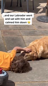 159K views · 4.4K reactions | Sweet friendship ❤️#dog #baby #pet #Love #cute #bestfriend #lovestory #dogsoftiktok #foryou #usa | Funny moments | Facebook