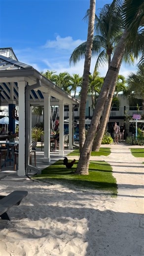 Bryant Gantter on Instagram: "The spot on Sundays !! #keywest #liveradio #travel #letsgo #nflticket #paradise #bestcommunity #radio #resort #conchrepublic #mentalhealth #youmatter #supportingsmallbusinesses #blueflamingokeywest #keysteam #visitkeywest #homesweethome #thefloridakeys #tourist #visittheflkeys #realtor #realtorlife #floridakeysrealestate #thefloridakeysrealtor #realtoroftiktok #family #keywestrealestateagent #thefloridakeysrealestate #floridakeysrealtors #youdreamitwefindit"