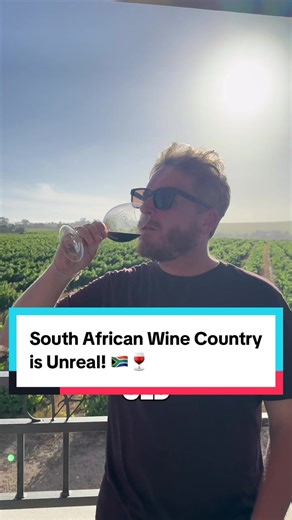 Explore the Beauty of South African Wine Country