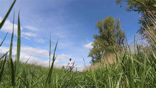 Beavers & The Renaissance of The Countryside