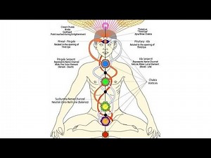 What is Nadi? | Ida | Pingala | Sushumna | Nadi | Brahma Nadi | Kundalini |