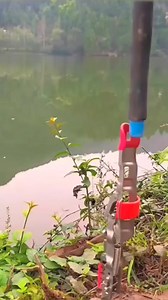 3.7K views · 14 reactions | Automatic fishing rod holder fishing gear and tools #fishing #fishinggear #fishingaccessories #fishingtime #fishingvideos #fishinglife #fishingtackle #fishing #fishingtipshingtips #fishingaccessories | Thewishingrod.com | Facebook