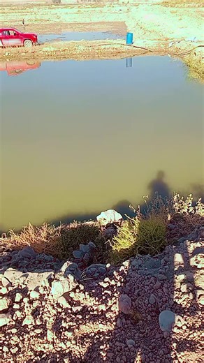 ‏#سمج_سموج #الحمدالله_علی_کل_حال❤ #kiA #عيال_العرجه🦅