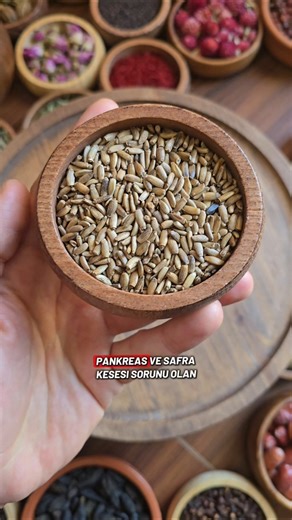 Benefits and Uses of Milk Thistle Seeds: Friendly to the Liver, Gallbladder, and Pancreas