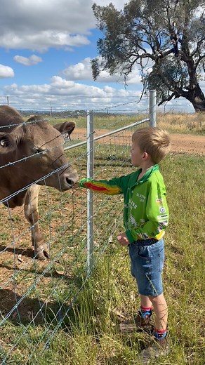 The best welcome home committee 🐮💙 | Glanmire Murray Greys