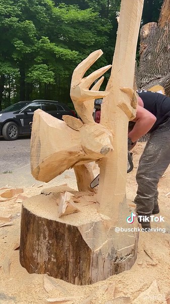Buck Rub Carving 🦌 DeerFest 2023 in Oshkosh, Wisconsin #buschkecarving #deerfest #chainsawcarving #chainsawcarver #woodworking #deer #deertok #fyp