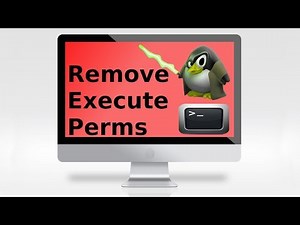 Noobs Lab: Remove Execute permissions for a file [Linux terminal]