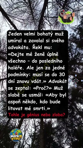 💰 Poslední vůle a dokonalá pomsta #humor #manželství #vtip #czech