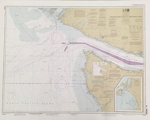 Summer Road Trip: Olympic Peninsula